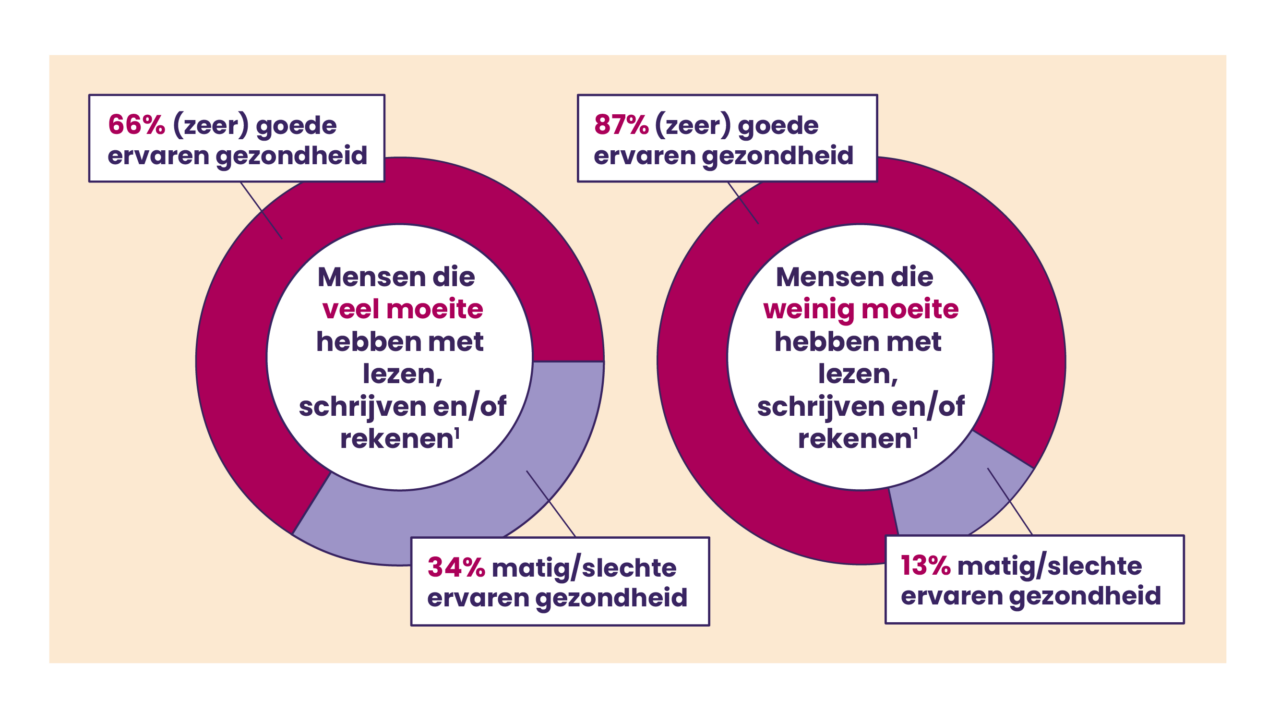 2026-02 Graphics SEGV_voor website_Moeite met lezen en schrijven_cirkeldiagrammen